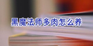 黑魔法师多肉怎么养