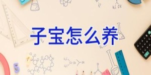 子宝怎么养