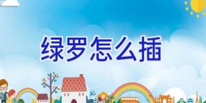 绿罗怎么插