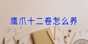 鹰爪十二卷怎么养