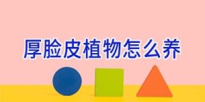 厚脸皮植物怎么养