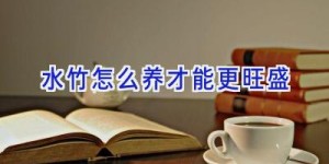 水竹怎么养才能更旺盛