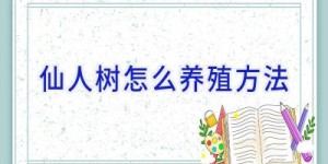 仙人树怎么养殖方法