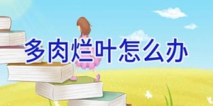 多肉烂叶怎么办