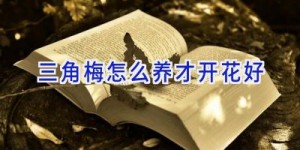 三角梅怎么养才开花好