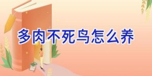 多肉不死鸟怎么养