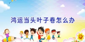 鸿运当头叶子卷怎么办