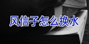 风信子怎么换水