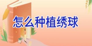 怎么种植绣球