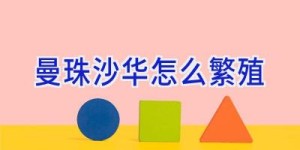 曼珠沙华怎么繁殖