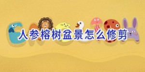 人参榕树盆景怎么修剪