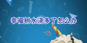 幸福树水浇多了怎么办