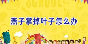 燕子掌掉叶子怎么办