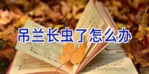 吊兰长虫了怎么办