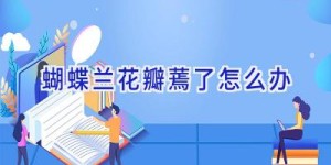 蝴蝶兰花瓣蔫了怎么办