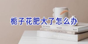 栀子花肥大了怎么办