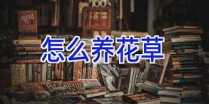 怎么养花草