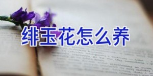 绯玉花怎么养