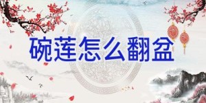 碗莲怎么翻盆