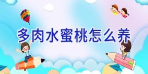 多肉水蜜桃怎么养