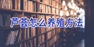 芦荟怎么养殖方法