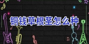 铜钱草根茎怎么种