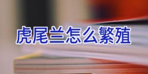 虎尾兰怎么繁殖