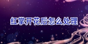 <?php the_title(); ?>