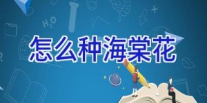 怎么种海棠花