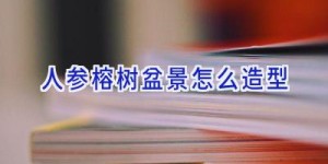 人参榕树盆景怎么造型