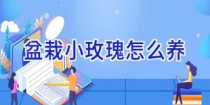 盆栽小玫瑰怎么养