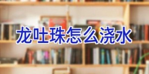 龙吐珠怎么浇水