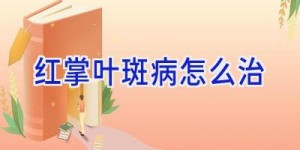 红掌叶斑病怎么治