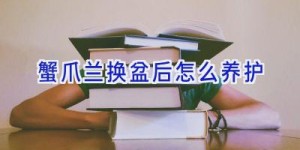 蟹爪兰换盆后怎么养护