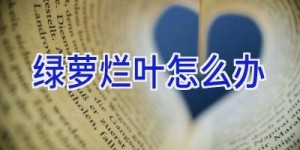 绿萝烂叶怎么办