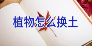 植物怎么换土