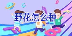 野花怎么种