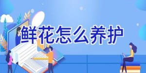鲜花怎么养护