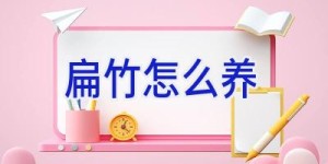 扁竹怎么养