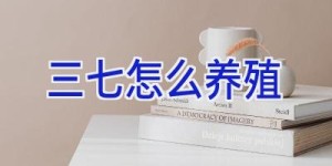 三七怎么养殖