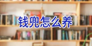 钱兜怎么养
