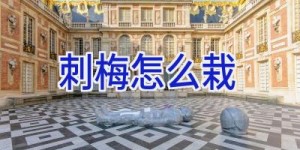 刺梅怎么栽