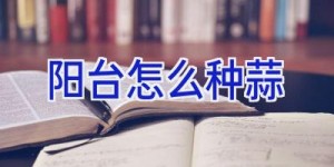阳台怎么种蒜