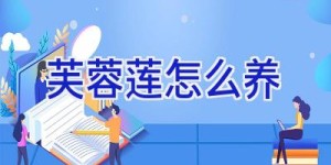 芙蓉莲怎么养