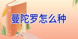 曼陀罗怎么种