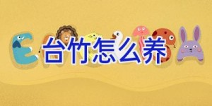 台竹怎么养