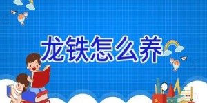 龙铁怎么养