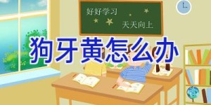 狗牙黄怎么办