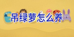吊绿萝怎么养