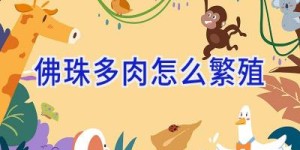 佛珠多肉怎么繁殖